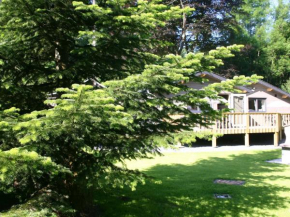 Magnificent Chalet in Ferri res Ardenne with Private Terrace